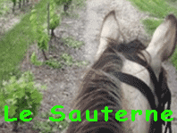 randonne questre en Aquitaine Prigord